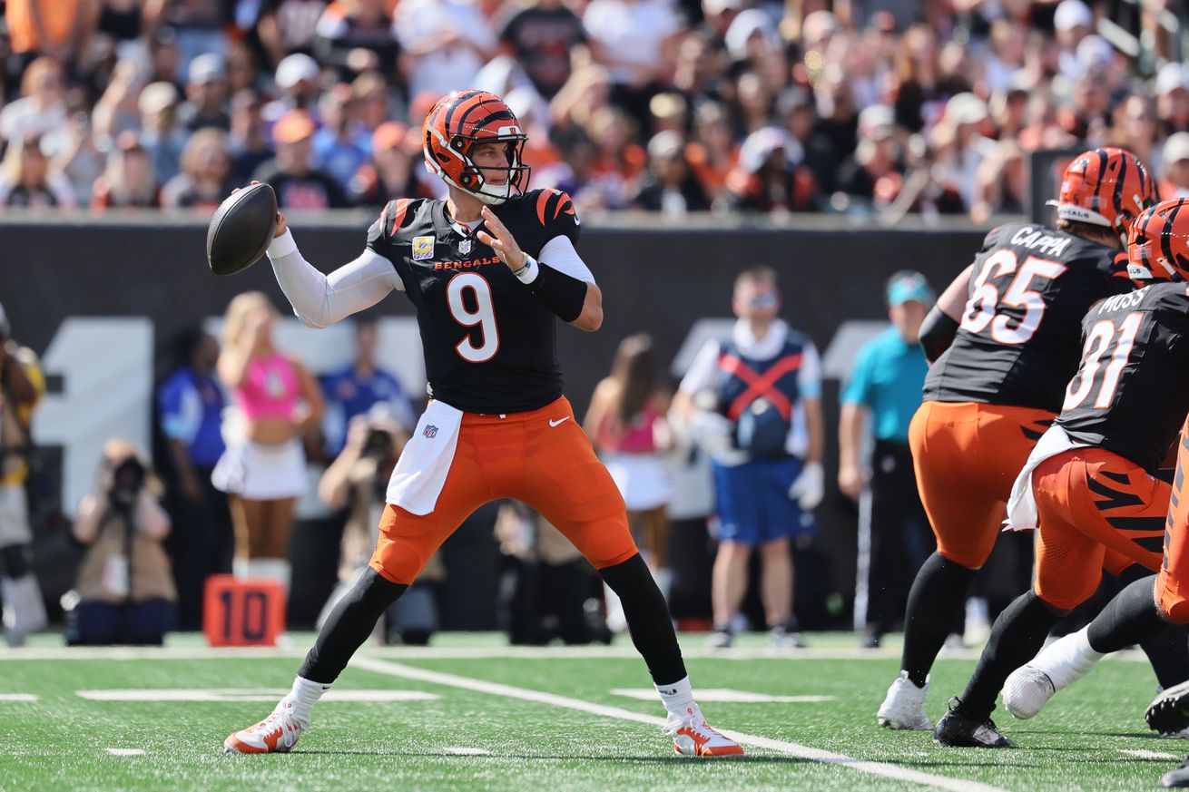 Baltimore Ravens v Cincinnati Bengals