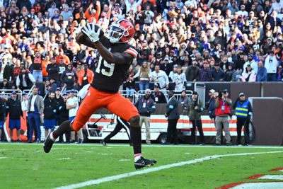 Baltimore Ravens v Cleveland Browns