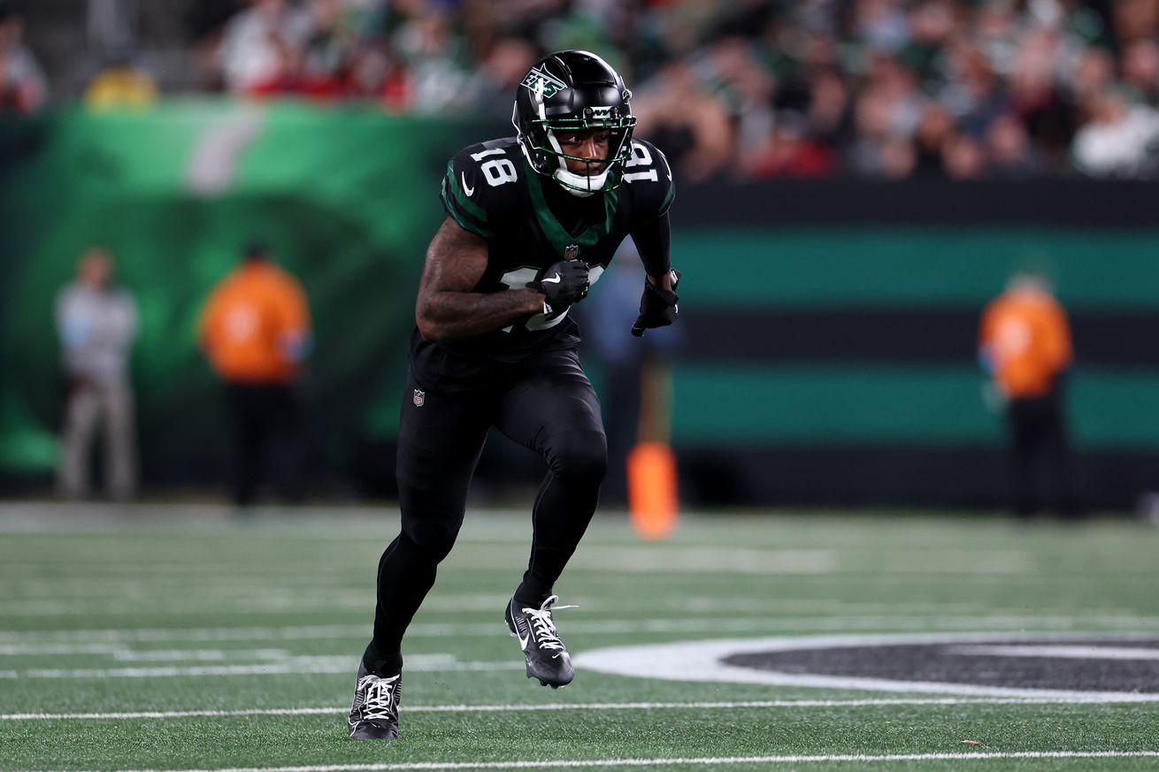 Mike Williams #18 of the New York Jets in action against the Houston Texans at MetLife Stadium on October 31, 2024 in East Rutherford, New Jersey.