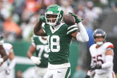 New York Jets wide receiver Mike Williams celebrates after a catch against division rivals, the New England Patriots during a 2024 regular season outing.