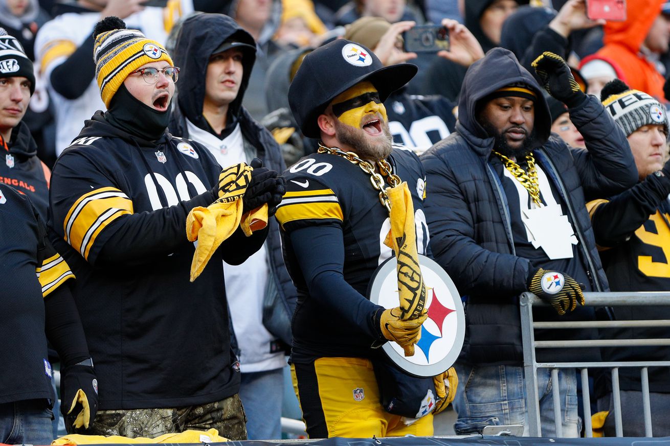 Pittsburgh Steelers fans cheer during the game against the Pittsburgh Steelers and the Cincinnati Bengals on December 1, 2024, at Paycor Stadium in Cincinnati, OH.