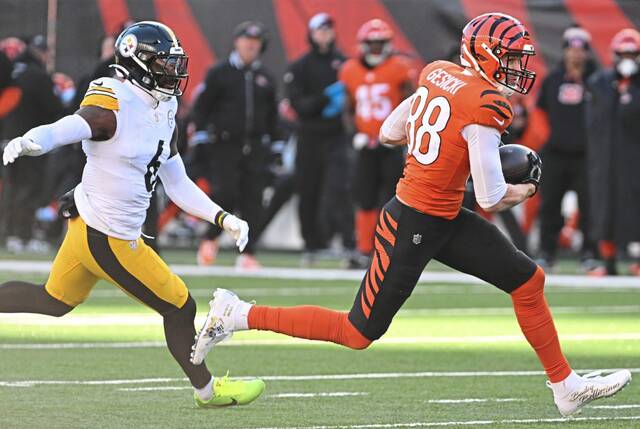 Cincinnati Bengals tight end Mike Gesicki makes a uncontested catch past Pittsburgh Steelers linebacker Patrick Queen during the Dec. 1 game between the teams at Paycor Stadium. They will meet again Saturday with the Steelers’ defense reeling since that day five weeks ago.