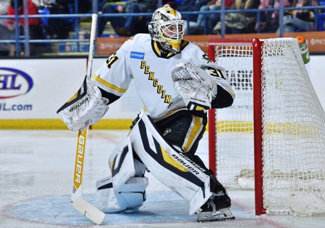 Wilkes-Barre/Scranton Penguins goaltender Filip Larsson made 33 saves in a 5-0 win against the Hartford Wolf Pack at Mohegan Sun Arena in Wilkes-Barre on Saturday.